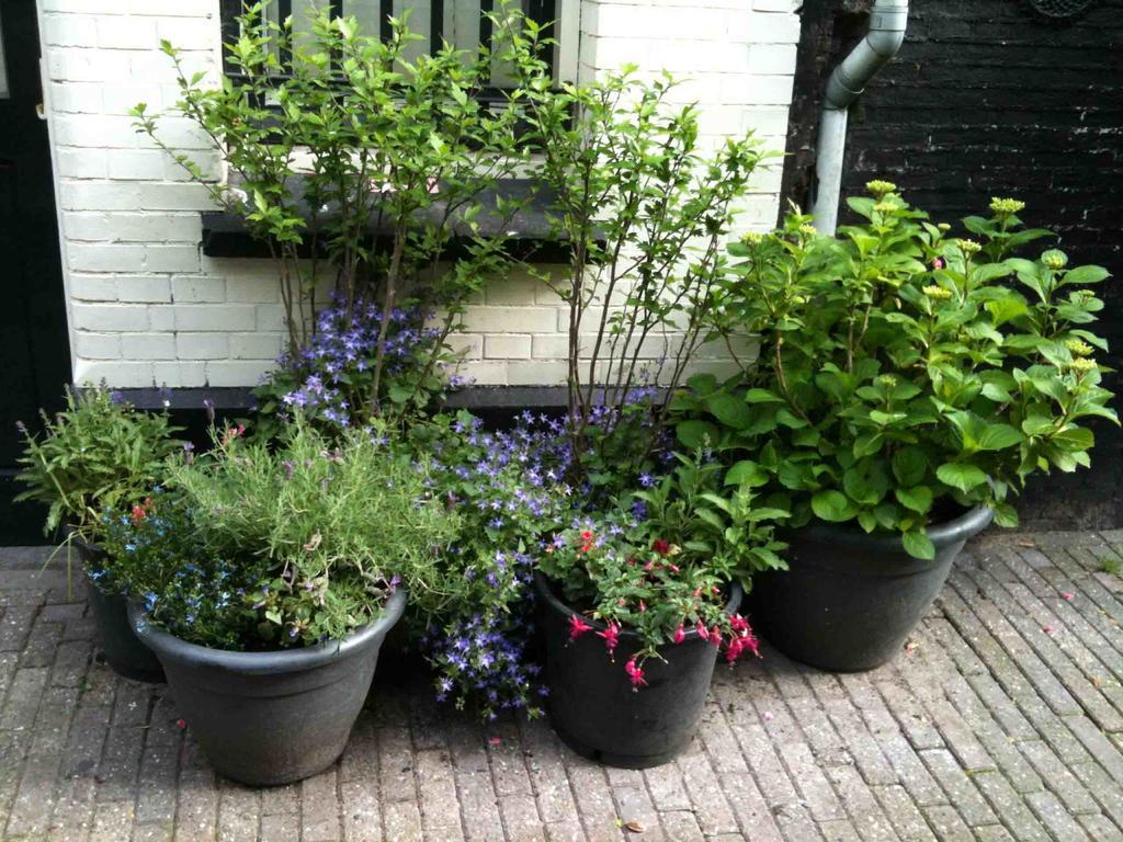 The Warehouse Bed and Breakfast Amsterdam Eksteriør billede